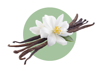 Vanilla